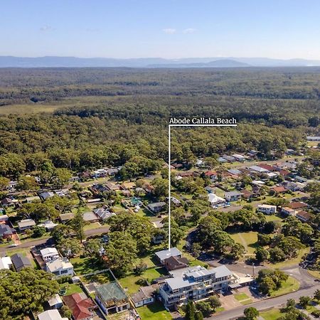 Abode Callala Beach Jervis Bay - 100M To Beach! 外观 照片